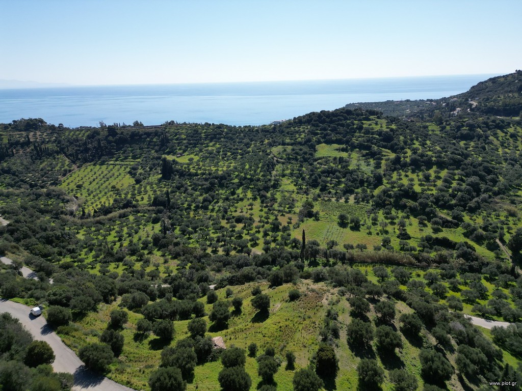 Οικόπεδο 7.000 τ.μ. πρός πώληση, Μεσσηνία, Κορώνη