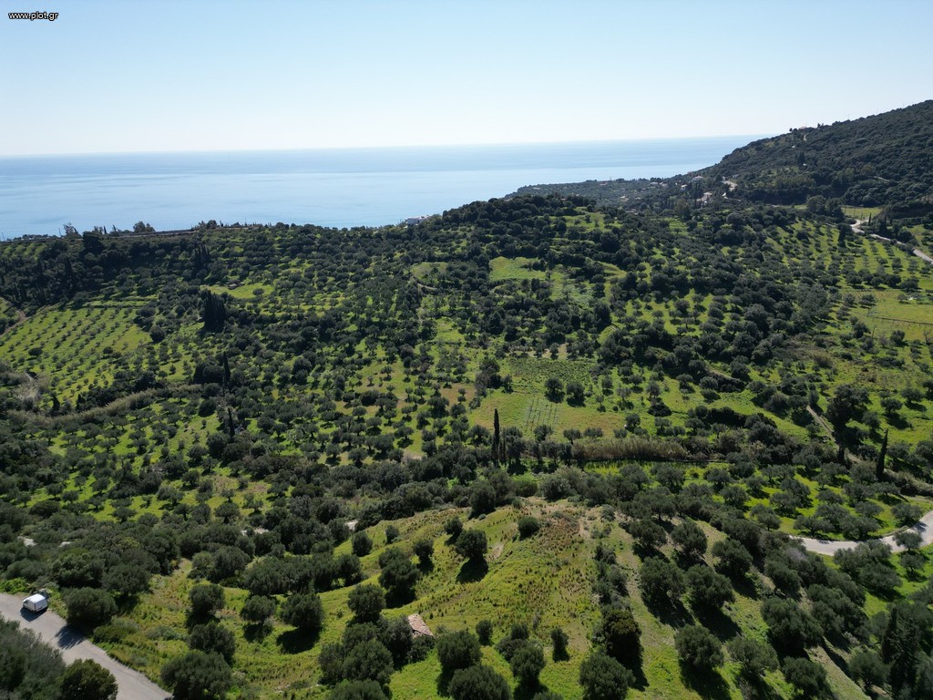 Οικόπεδο 7.000 τ.μ. πρός πώληση, Μεσσηνία, Κορώνη