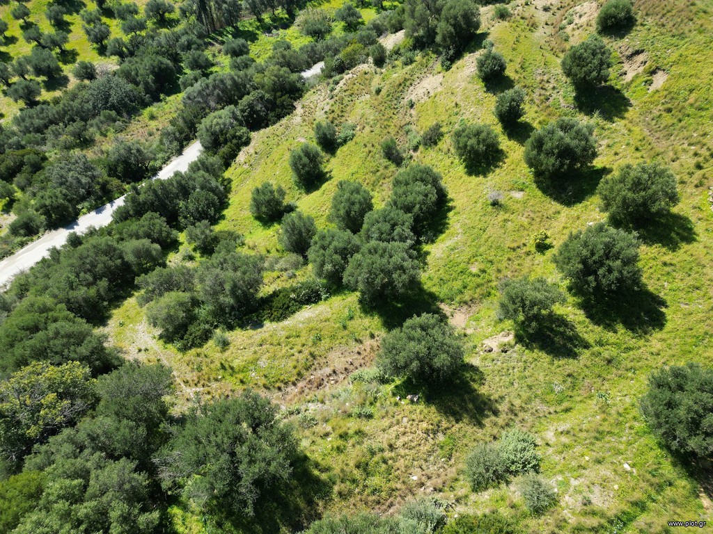 Οικόπεδο 7.000 τ.μ. πρός πώληση, Μεσσηνία, Κορώνη