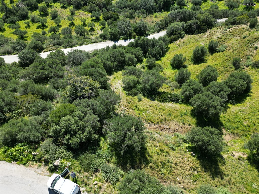 Οικόπεδο 7.000 τ.μ. πρός πώληση, Μεσσηνία, Κορώνη