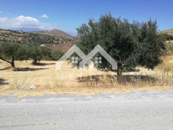 Land plot 4.000 sqm for sale, Argosaronikos Islands, Aegina