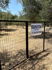 Αγροτεμάχια 3.935 τ.μ. προς πώληση, Ωρωπός Λούρου-thumb-5