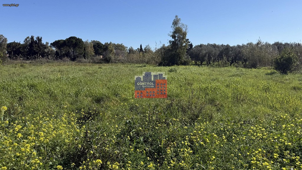 Αγροτεμάχια 2.000 τ.μ. για πώληση, Αχαΐα, Αιγιάλεια