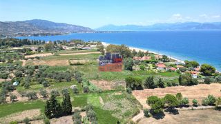 Αγροτεμάχια 2.000 τ.μ. για πώληση, Αχαΐα, Αιγιάλεια-thumb-3