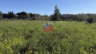 Αγροτεμάχια 2.000 τ.μ. για πώληση, Αχαΐα, Αιγιάλεια-thumb-4