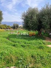 Οικόπεδο 613 τ.μ. για πώληση