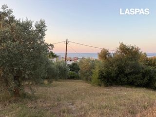 Αγροτεμάχια 3.870 τ.μ. για πώληση