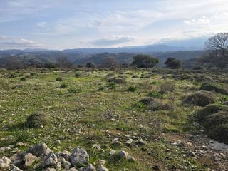 Οικόπεδο 20.024 τ.μ. για πώληση