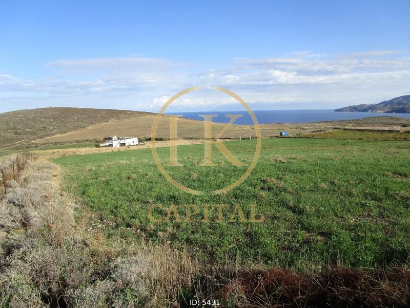 Αγροτεμάχια 8.926 τ.μ. πρός πώληση, Κυκλάδες, Νάξος