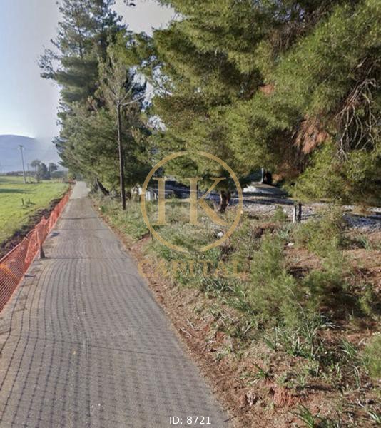 Οικόπεδο 15.000 τ.μ. πρός πώληση, Βοιωτία, Σχηματάρι