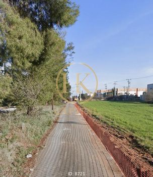 Land plot 15.000 sqm for sale