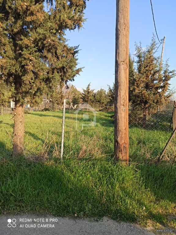 Αγροτεμάχια 520 τ.μ. προς πώληση, Άγιος Παύλος Καλλικράτειας