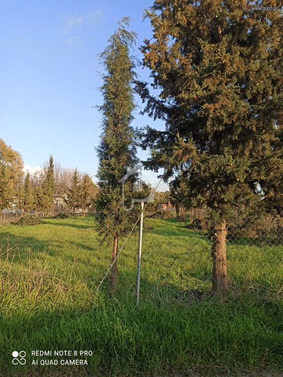Αγροτεμάχια 520 τ.μ. προς πώληση, Άγιος Παύλος Καλλικράτειας