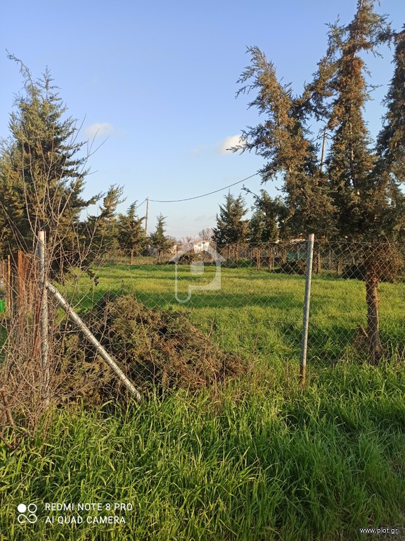 Αγροτεμάχια 520 τ.μ. προς πώληση, Άγιος Παύλος Καλλικράτειας