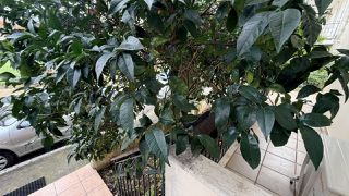 Διαμέρισμα 130 τ.μ. για πώληση, Φθιώτιδας, Λαμία-thumb-5