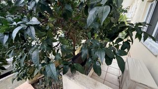 Διαμέρισμα 130 τ.μ. για πώληση, Φθιώτιδας, Λαμία-thumb-6