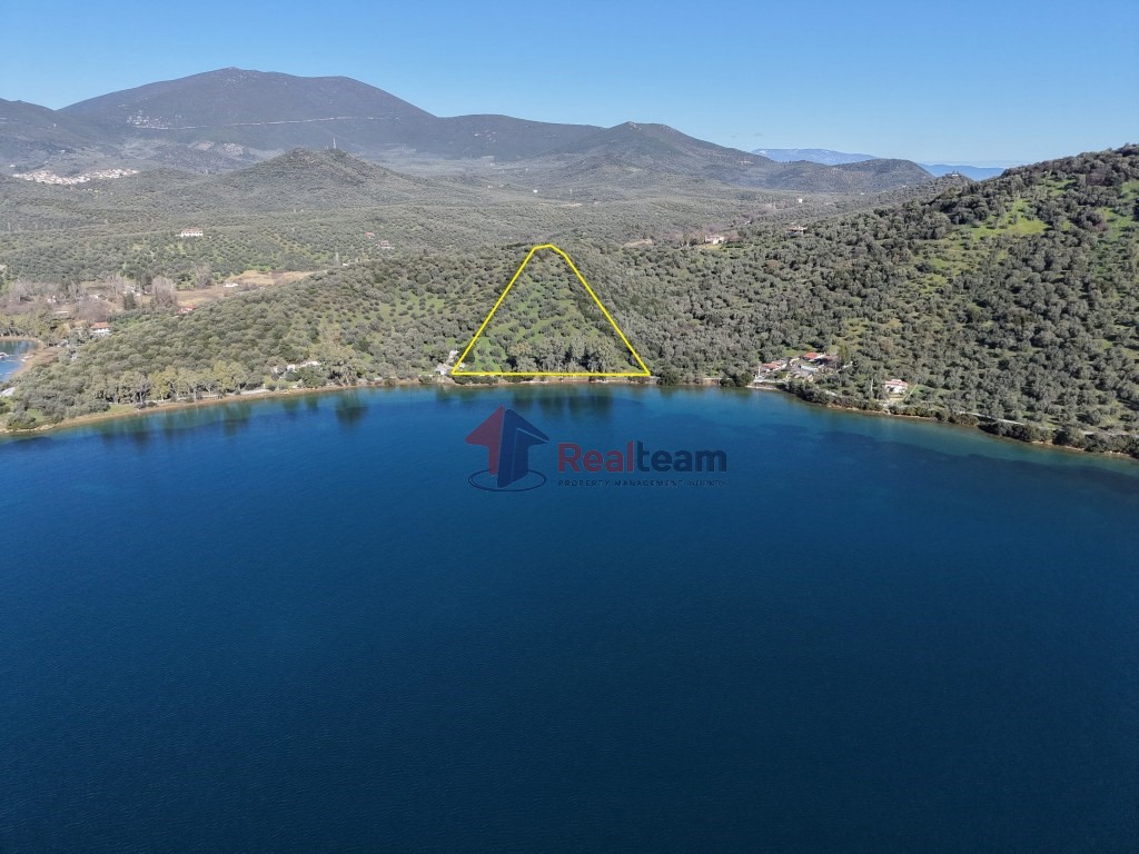 Αγροτεμάχια 12.300 τ.μ. προς πώληση, Πηγάδι Πτελεού