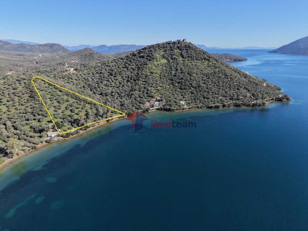Αγροτεμάχια 12.300 τ.μ. προς πώληση, Πηγάδι Πτελεού