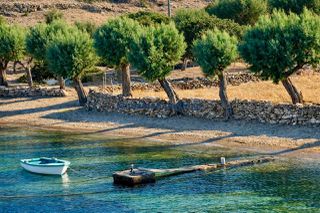Αγροτεμάχια 51.500 τ.μ. για πώληση