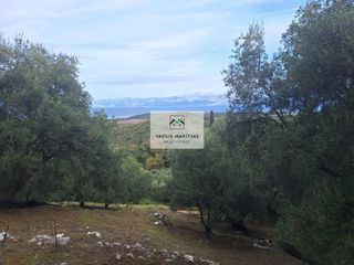 Οικόπεδο 3.489,26 τ.μ. για πώληση