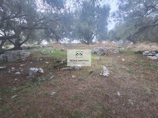 Οικόπεδο 3.489,26 τ.μ. για πώληση, Ν. Κέρκυρας, Κέρκυρα-thumb-2