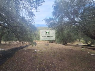 Οικόπεδο 3.489,26 τ.μ. για πώληση, Ν. Κέρκυρας, Κέρκυρα-thumb-5