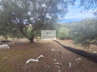 Οικόπεδο 3.489,26 τ.μ. για πώληση, Ν. Κέρκυρας, Κέρκυρα-thumb-3