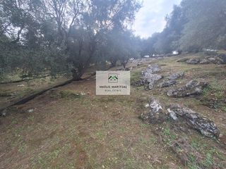 Οικόπεδο 3.489,26 τ.μ. για πώληση, Ν. Κέρκυρας, Κέρκυρα-thumb-7