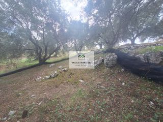Οικόπεδο 3.489,26 τ.μ. για πώληση, Ν. Κέρκυρας, Κέρκυρα-thumb-4