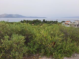 Οικόπεδο 600 τ.μ. για πώληση