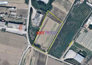 Αγροτεμάχια 6.500 τ.μ. για πώληση