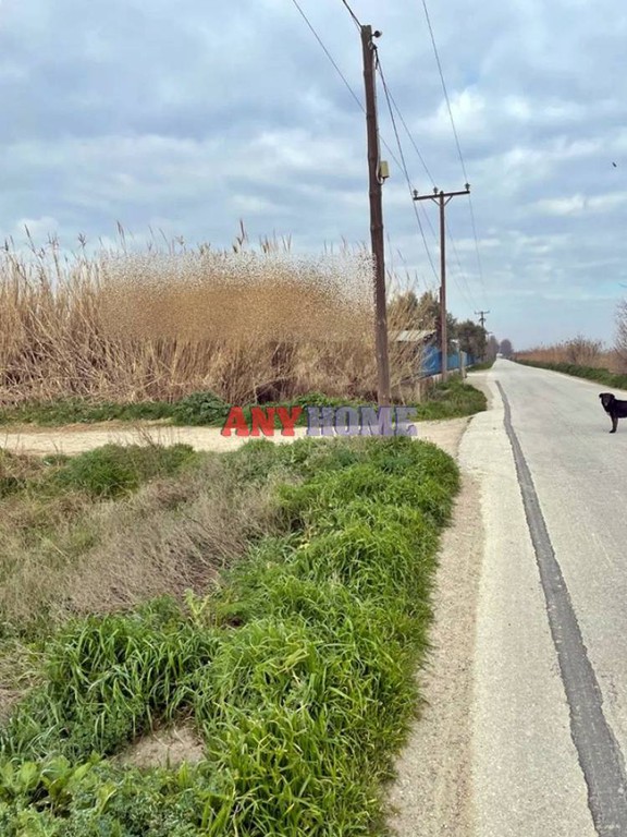 Αγροτεμάχια 26.000 τ.μ. προς πώληση, Κέντρο Εχεδώρου