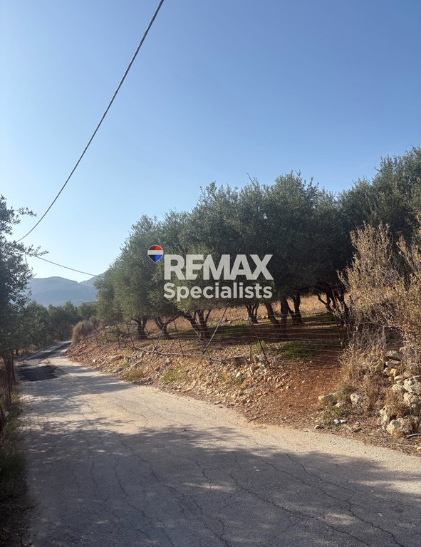 Οικόπεδο 1.281 τ.μ. προς πώληση, Μεγάλα Χωράφια