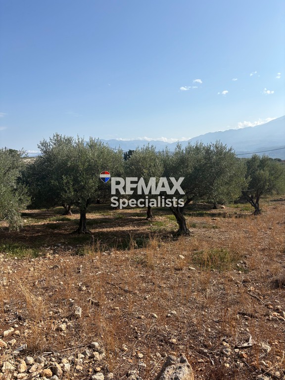 Οικόπεδο 1.281 τ.μ. προς πώληση, Μεγάλα Χωράφια