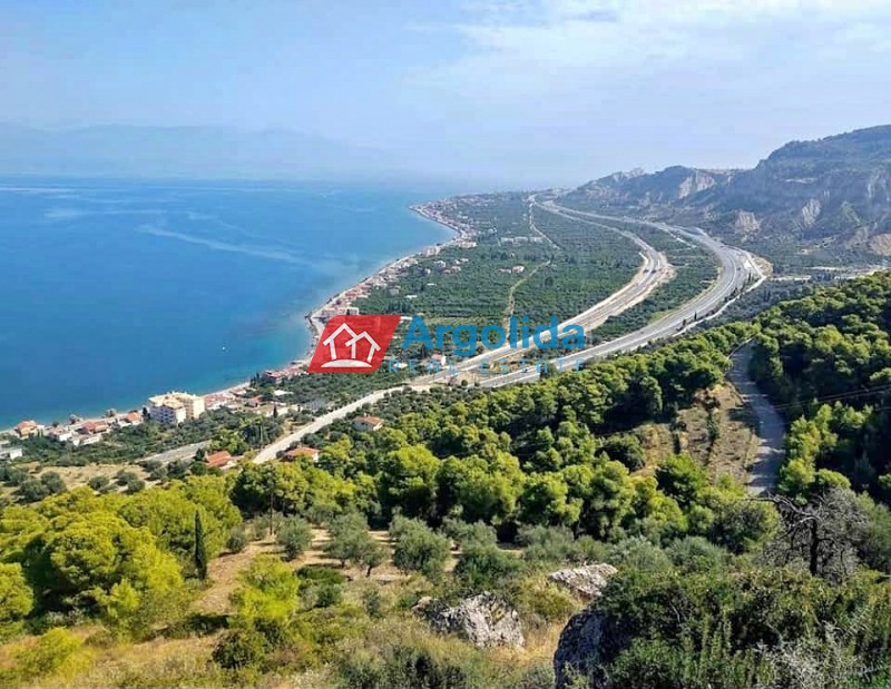 Αγροτεμάχια 4.380 τ.μ. προς πώληση, Λυγιά Ευρωστίνης