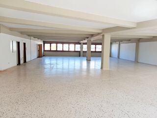 Office 303 sqm for rent