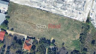 Αγροτεμάχια 6.500 τ.μ. για πώληση