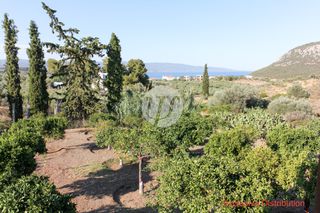 Μονοκατοικία 238 τ.μ. για πώληση, Αργολίδα, Ερμιόνη-thumb-4