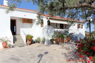 Μονοκατοικία 238 τ.μ. για πώληση, Αργολίδα, Ερμιόνη-thumb-23