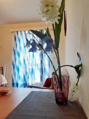 Studio / γκαρσονιέρα 31 τ.μ. πρός πώληση, Αχαΐα, Πάτρα-thumb-14