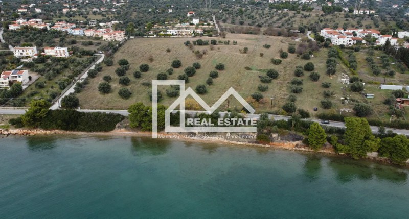 Αγροτεμάχια 74.557 τ.μ. προς πώληση, Άγιοι Ασώματοι Ερέτριας