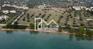 Αγροτεμάχια 74.557 τ.μ. για πώληση