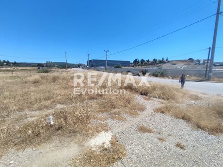Οικόπεδο 12.800 τ.μ. πρός πώληση