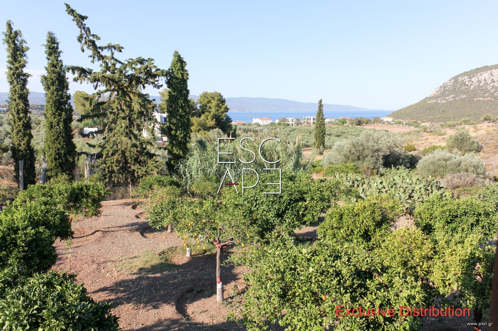 Μονοκατοικία 238 τ.μ. προς πώληση, Κουβέρτα