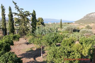 Μονοκατοικία 238 τ.μ. για πώληση, Αργολίδα, Ερμιόνη-thumb-3