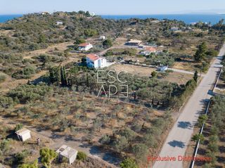 Μονοκατοικία 238 τ.μ. για πώληση, Αργολίδα, Ερμιόνη-thumb-11