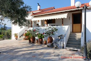 Μονοκατοικία 238 τ.μ. για πώληση, Αργολίδα, Ερμιόνη-thumb-18