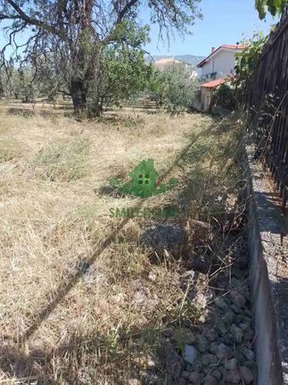 Land plot 1.700 sqm for sale, Corinthia, Loutraki-Perachora