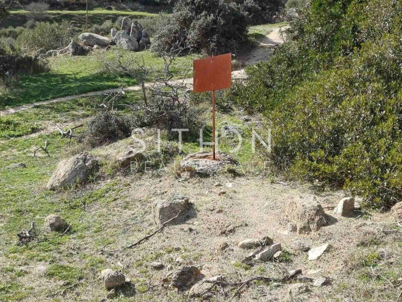 Οικόπεδο 500 τ.μ. προς πώληση, Σκάλα Συκέας