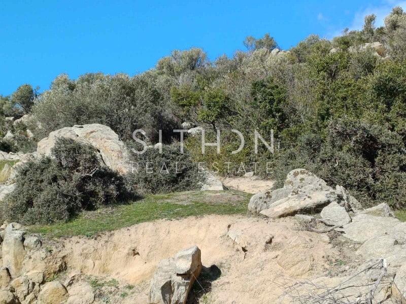 Οικόπεδο 500 τ.μ. προς πώληση, Σκάλα Συκέας